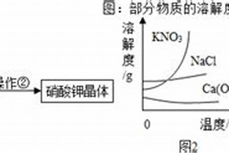 无花果用什么肥料