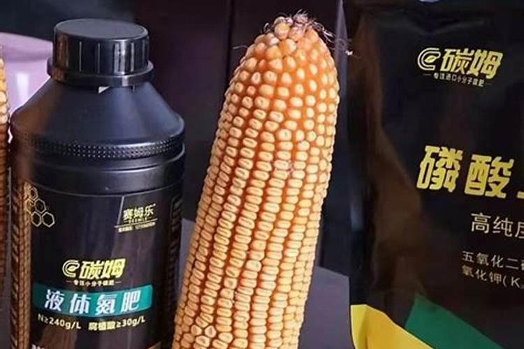 怎么给花补氮肥