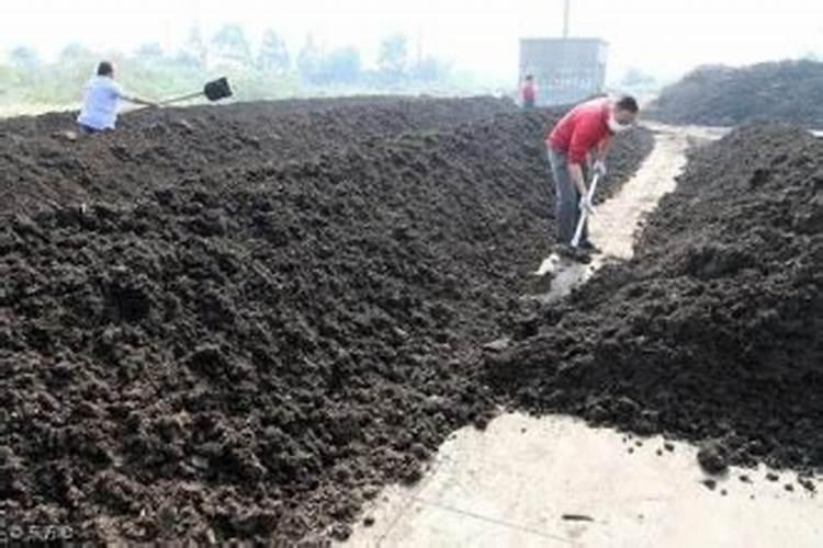 防草布的优点和弊端 土工布可以用来防草吗