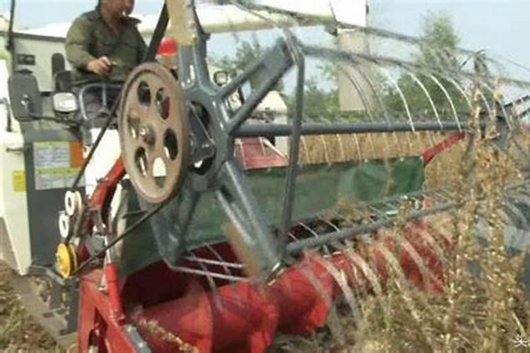 8月份甘蔗都用什么农药