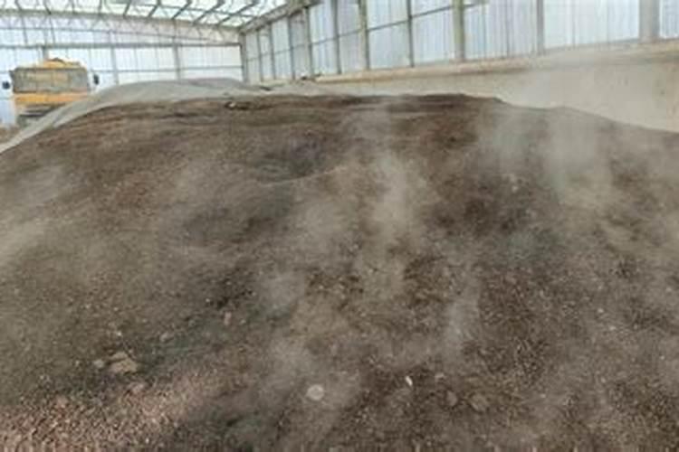 鱼蛋白有什么功效与作用？