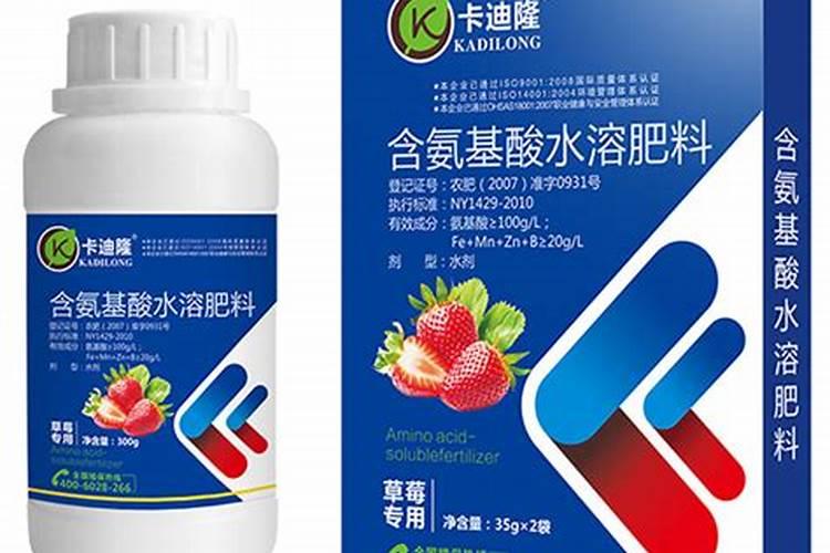 草莓叶子边缘干枯卷起还能活么