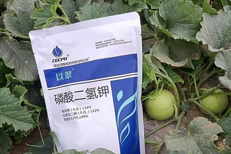 土豆底肥用什么复合肥好？用什么叶面肥幼苗涨势旺？