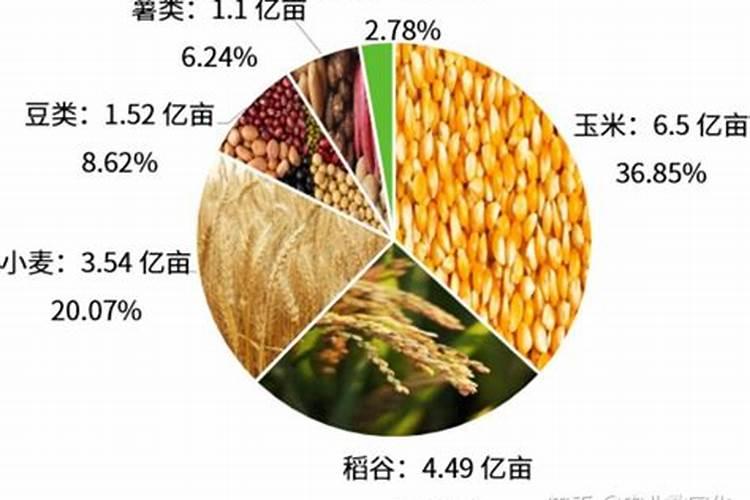 为什么会在食品中加入氯化钾这种添加剂？