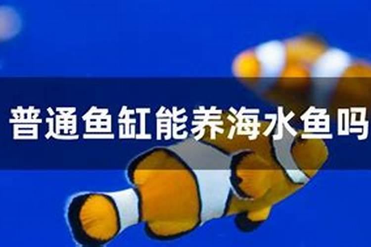想要辣椒高产怎么施肥(辣椒怎样追肥能结果产量高)