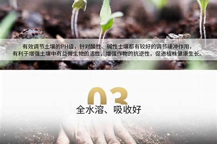 腐植酸水溶肥是什么？它有啥作用呢？
