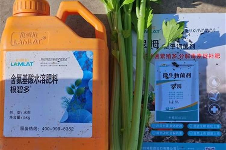 西红柿结果期上什么肥料产量高？西红柿用哪种水溶肥效果好？