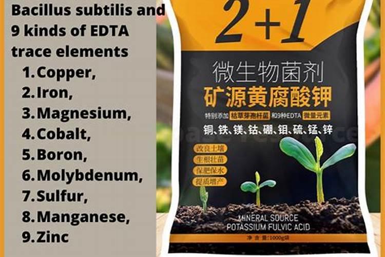 常用除草剂有哪些？