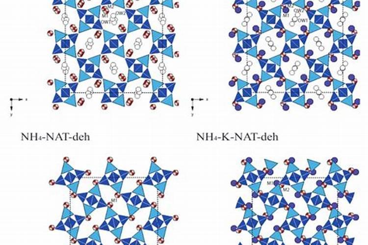 树叶为什么会变黄 有什么意外的哲理