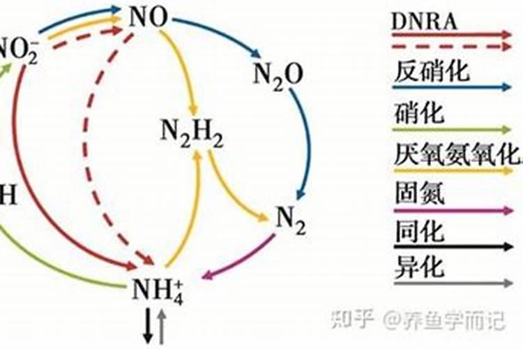 辣椒里含有什么元素？