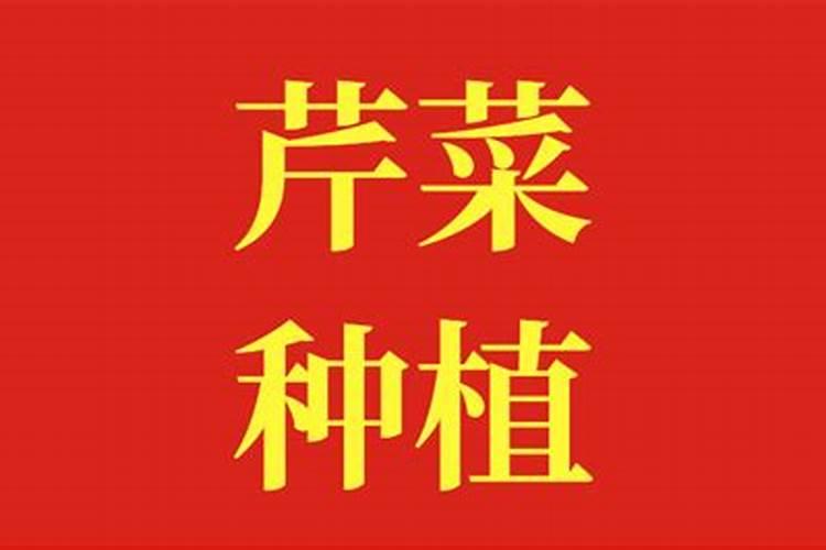 合成氨概念股有哪些？