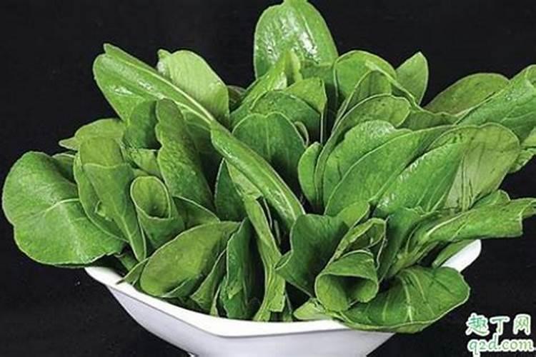 烤烟种植技术与方法