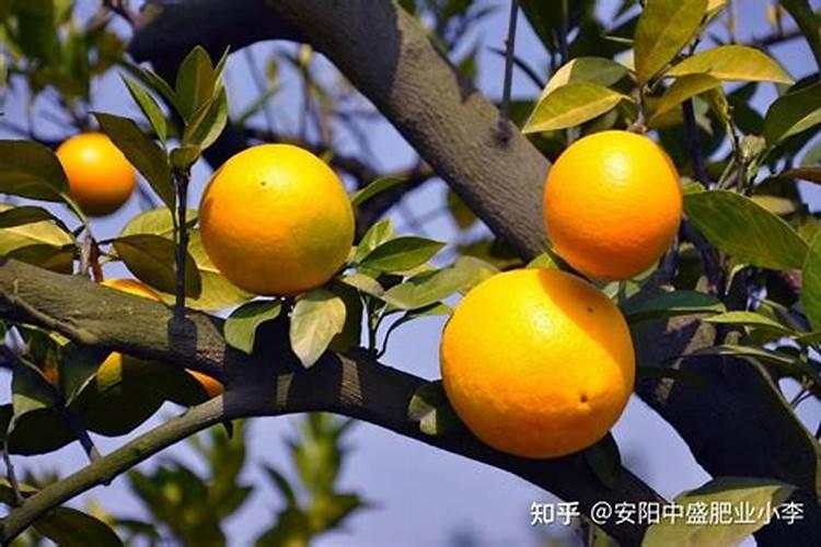氮肥有哪些种类
