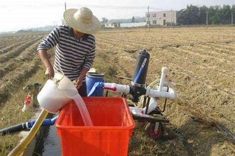 冲施肥和水溶肥哪个好