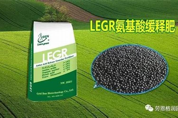 露天种植草莓怎样做畦种