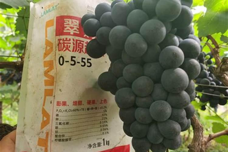 中国钾肥前十名上市公司