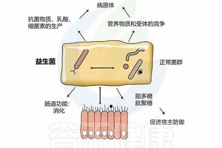 硼肥的正确使用方法