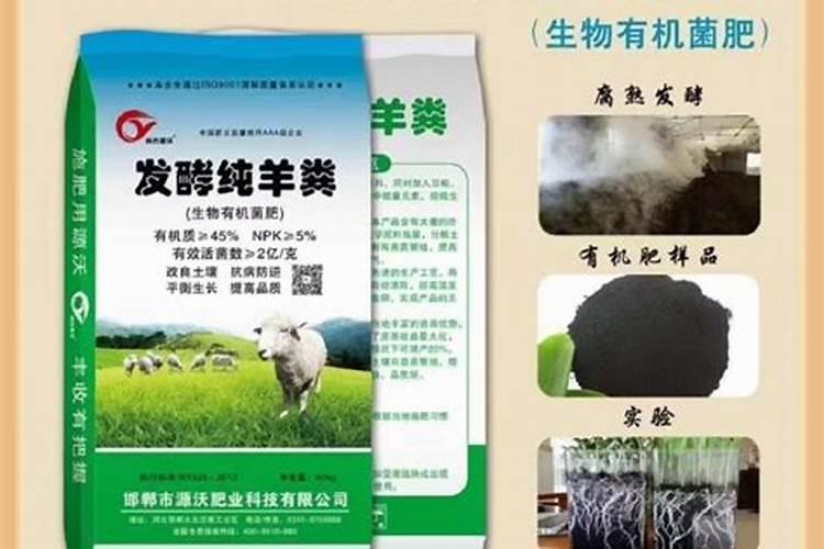 吃热情果有没有必要把籽吐出来呢