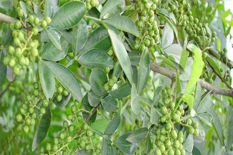 化学品管理小知识