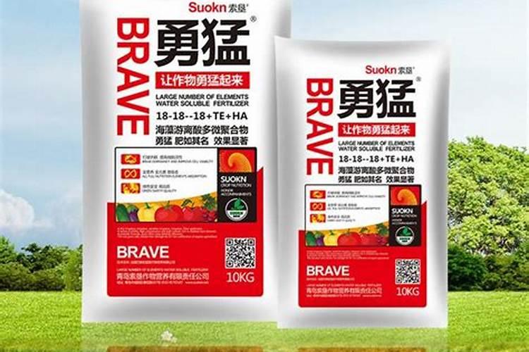 蓝莓施肥用什么肥料
