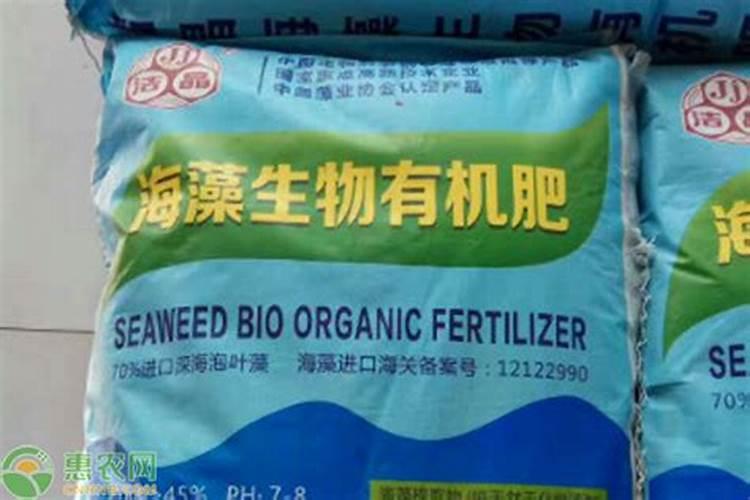 盆景可以用海藻精吗？