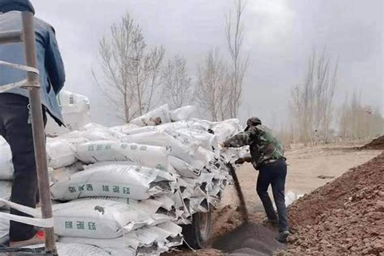 请问一下桂花可以用在土里做肥料吗？