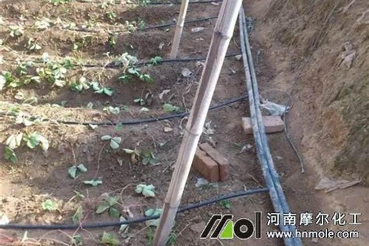 "祥云鱼蛋白水溶肥系列肥料的用法是怎样的？ "
