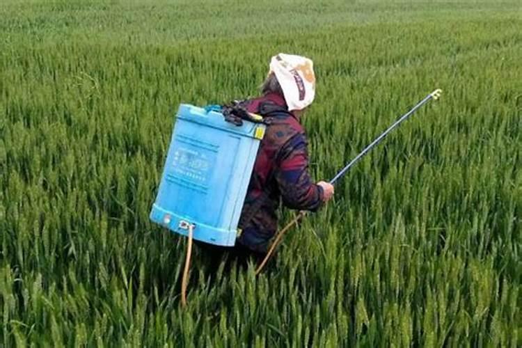 新疆盐湖主要矿产