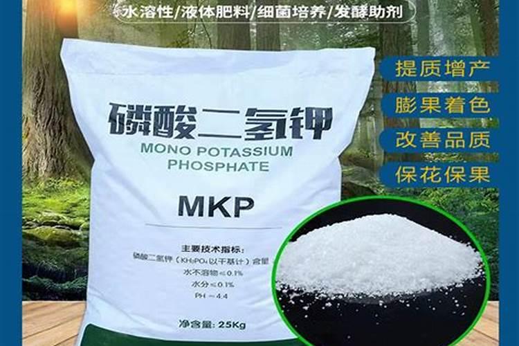 用了这么长时间的氮肥你知道它的作用有哪些吗？