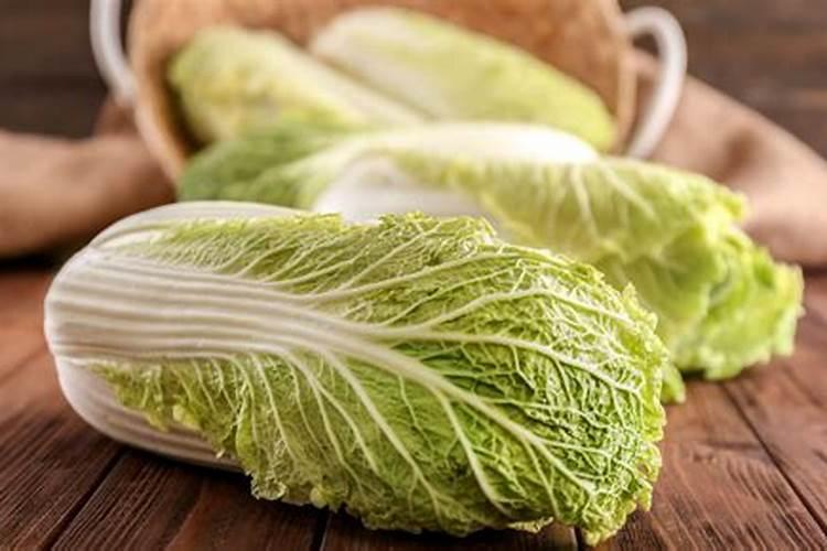 大白菜用什么肥料最好