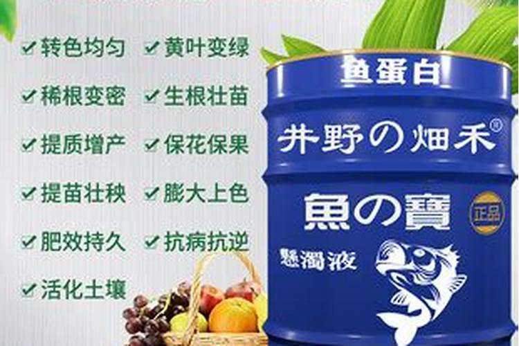 甜椒病虫害防治措施 甜椒应该怎么养殖