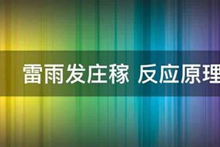 果树施硼肥怎么操作？果树施硼肥有什么用？