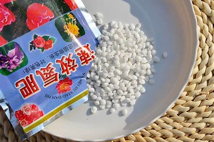 盆栽石斛兰花的叶面肥用那种好