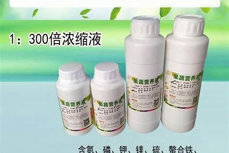 菠菜主要病虫害有哪些？如何防治？