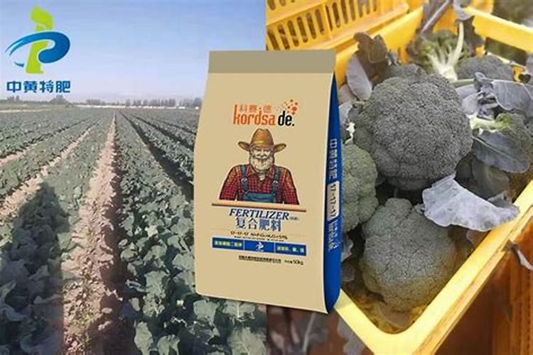 生菜叶片发黄可以喷施蔬菜叶面肥吗