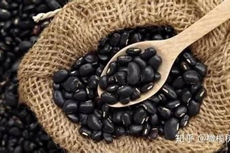 黑豆能做花肥吗 黑豆可以当肥料养花吗