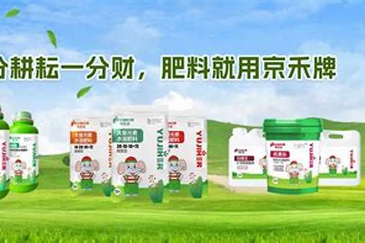 绿茶喷洒催芽素对绿茶味道有什么影响？