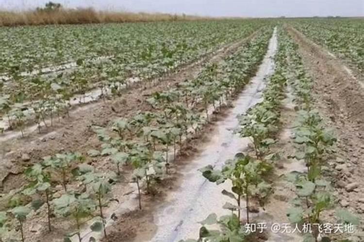 元素周期表顺口溜有哪些？