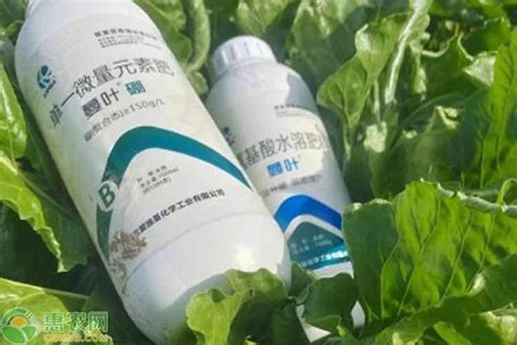 叶面肥为什么不能跟碱性农药混用