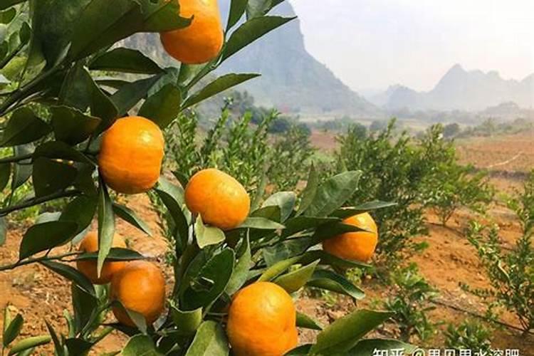 钾肥一亩地上多少