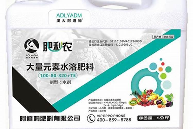 大桂花树价格表多少钱一棵？大桂花树的种植技术