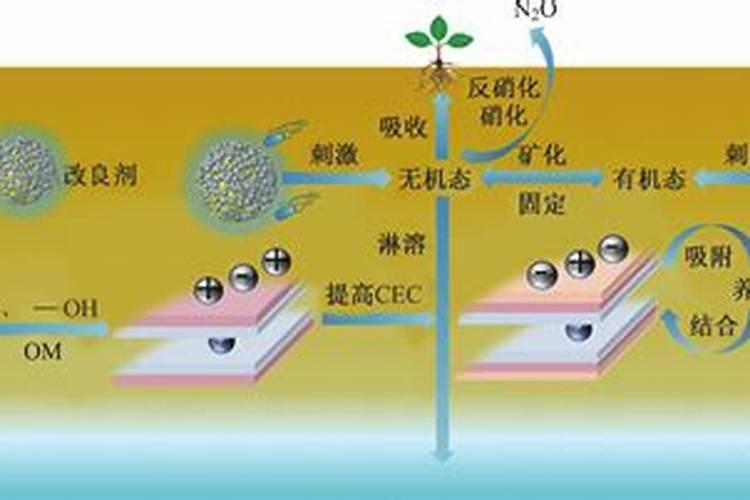 芒果高产施肥的方法!芒果用什么肥料？