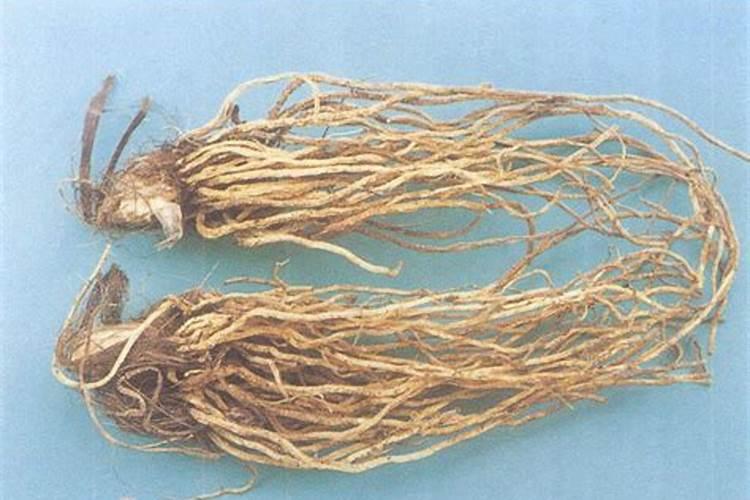 豆角蓟马害虫,用什药好？可否混合叶面肥或抑菌剂时喷施？谢