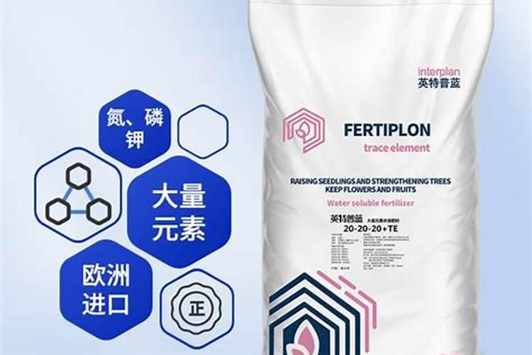 兰花喜欢什么肥料