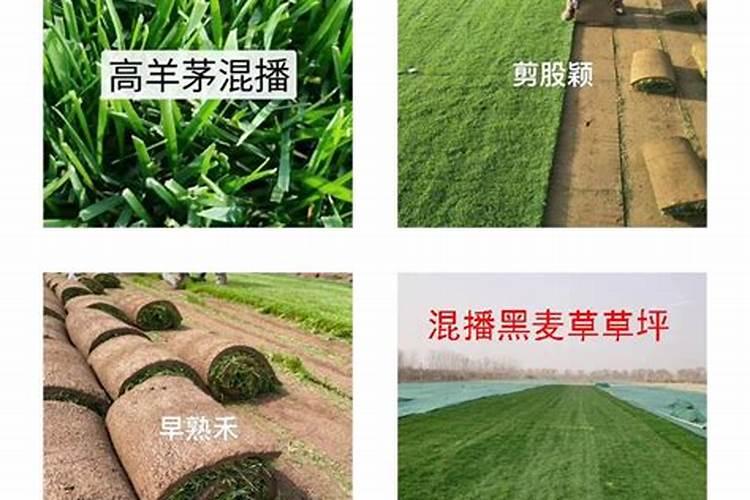 黄腐酸钾最佳使用方法