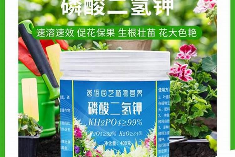 喷施碧护两次的安全间隔是多少天