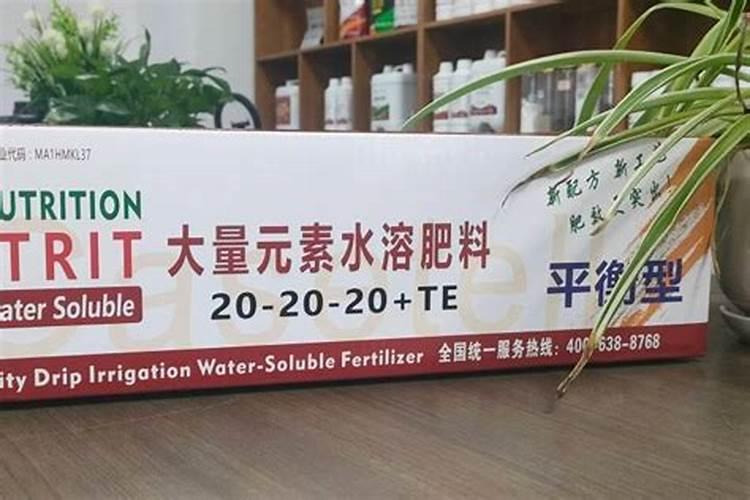 夏橙春季施肥讲解