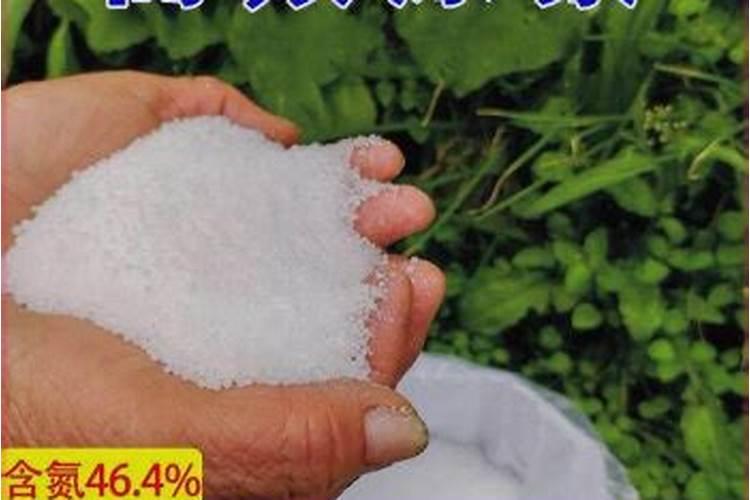 尿素肥的正确使用方法