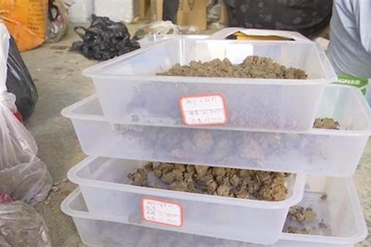 中脉蜂灵胶囊一天吃多少颗,一盒多少颗,多少钱一盒