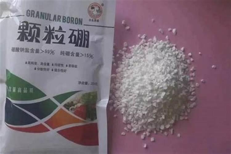 硼肥是什么肥料